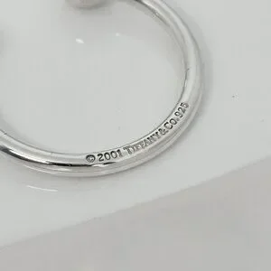 Tiffany & Co. | Accessories | Tiffany Co Extra Large